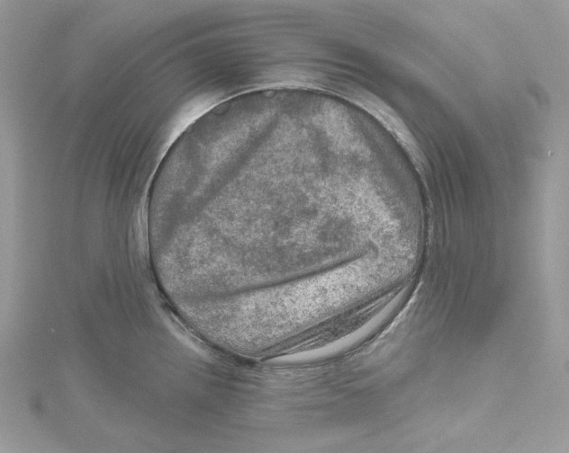 X0000114651242200911171044