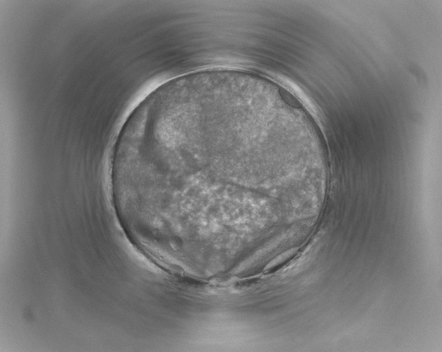 X0000114651243200911171044