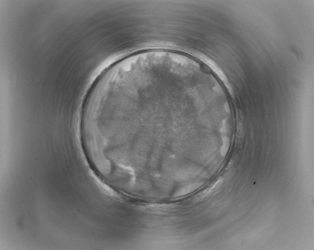 X0000114651245200911171044