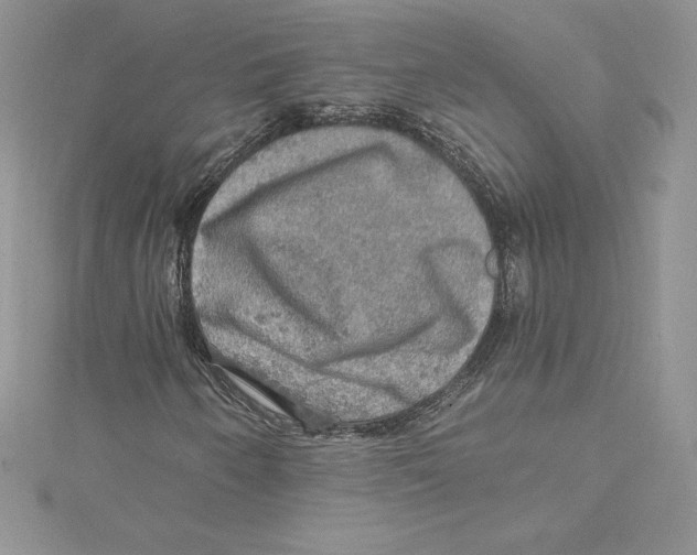 X0000114651250200911171043