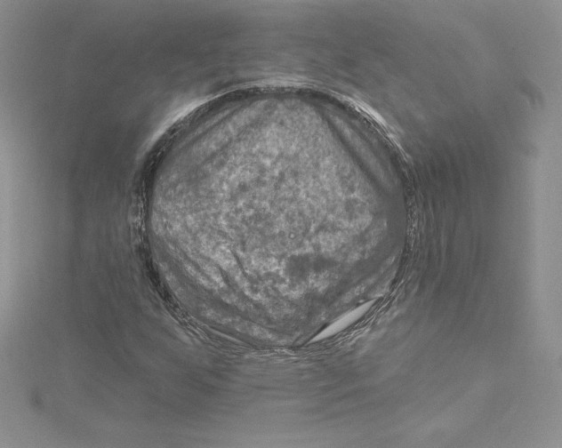 X0000114651255200911171043