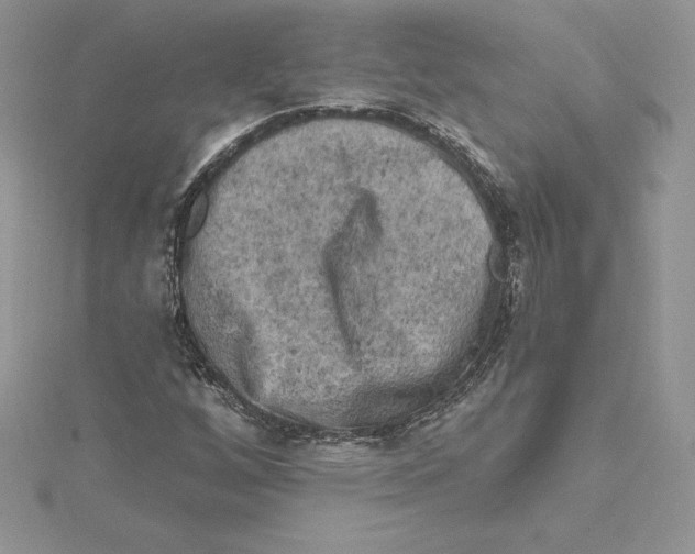 X0000114651256200911171043