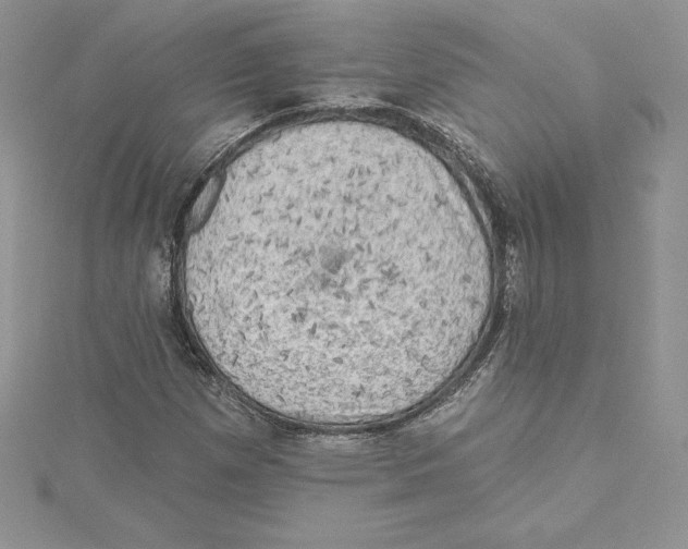 X0000114651257200911171043