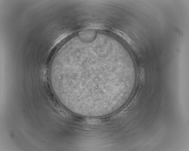 X0000114651258200911171043