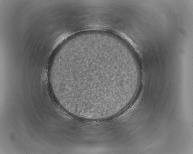 X0000114651259200911171043