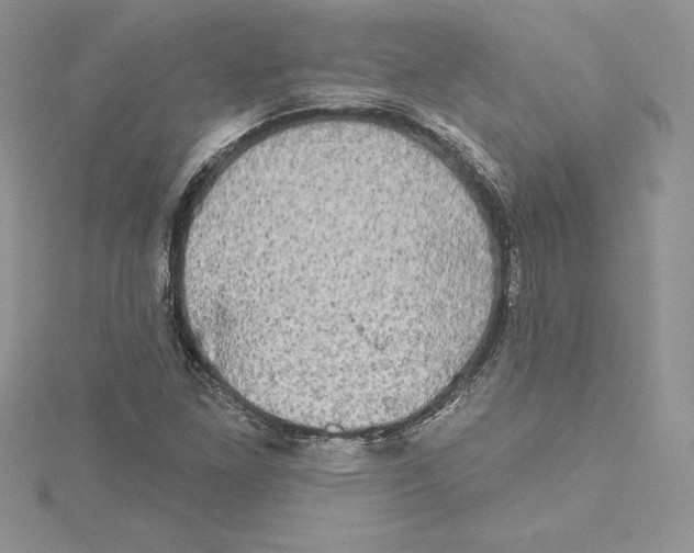 X0000114651261200911171043