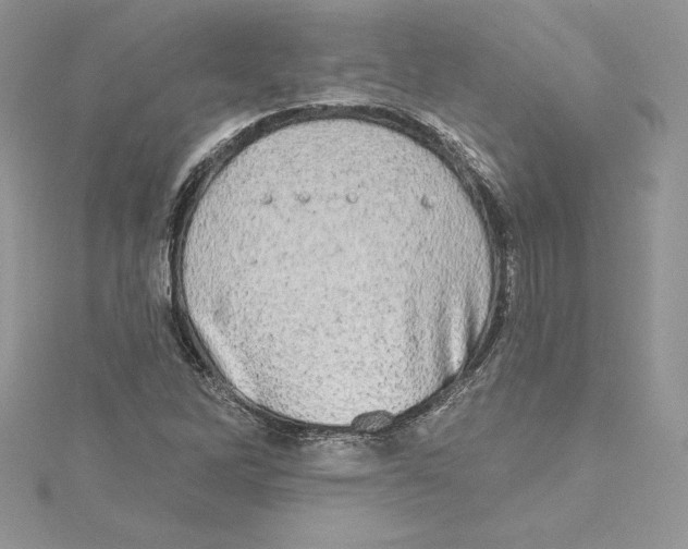 X0000114651262200911171043