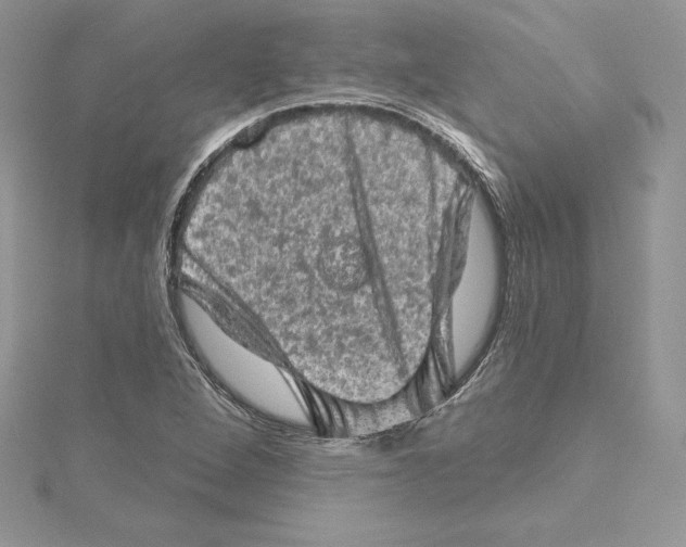 X0000114651264200911171043