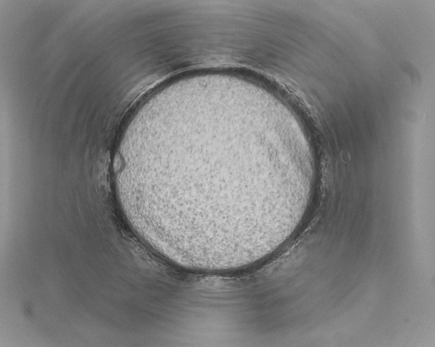 X0000114651265200911171043