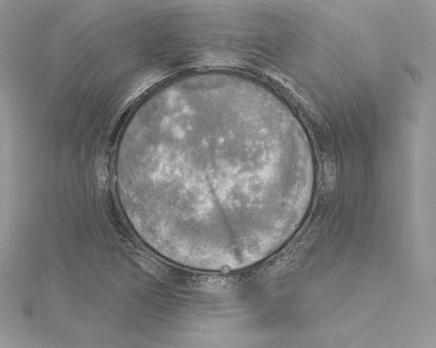 X0000114651266200911171043