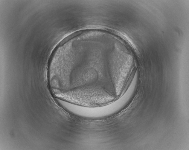 X0000114651268200911171043