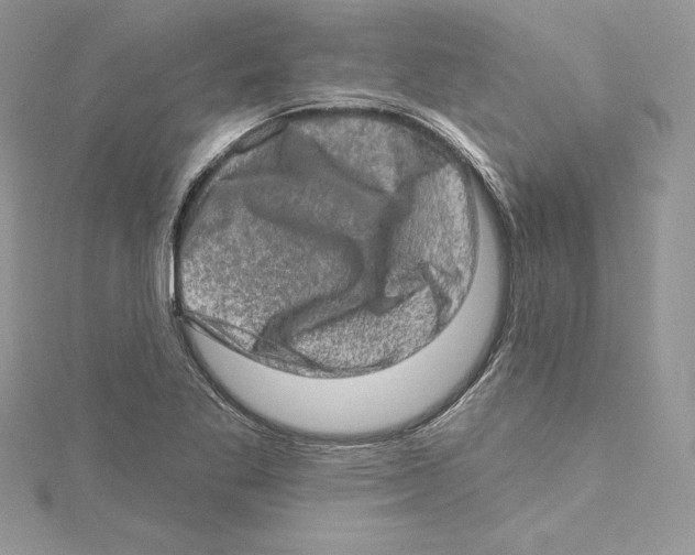 X0000114651269200911171043