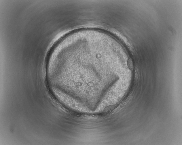 X0000114651270200911171043