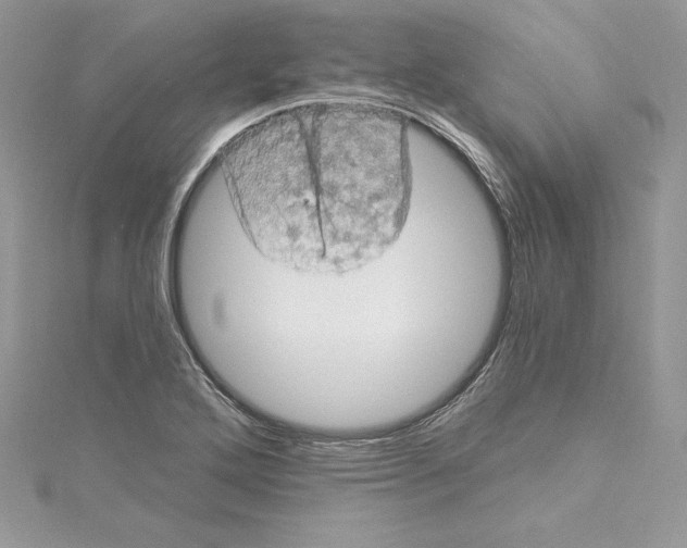 X0000114651272200911171043