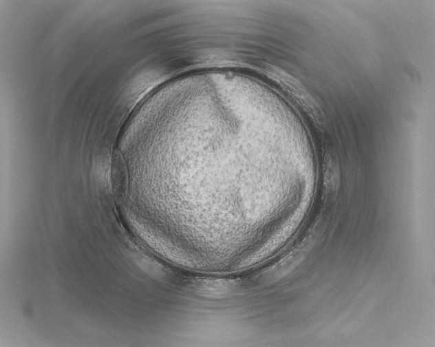 X0000114651273200911171043