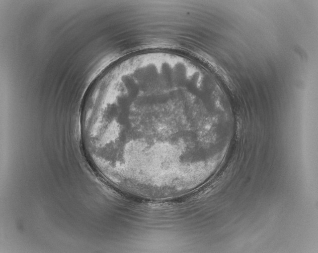 X0000114651274200911171043