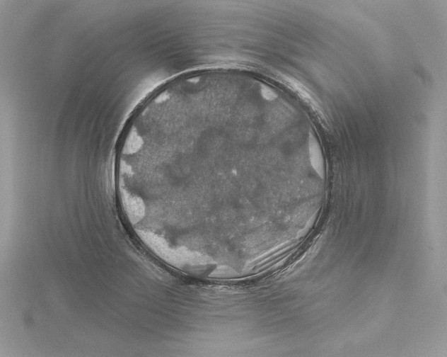 X0000114651275200911171043