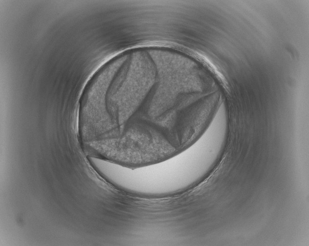 X0000114651276200911171043