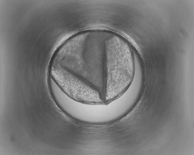 X0000114651277200911171043