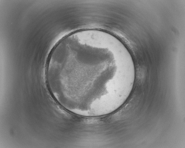 X0000114651278200911171043