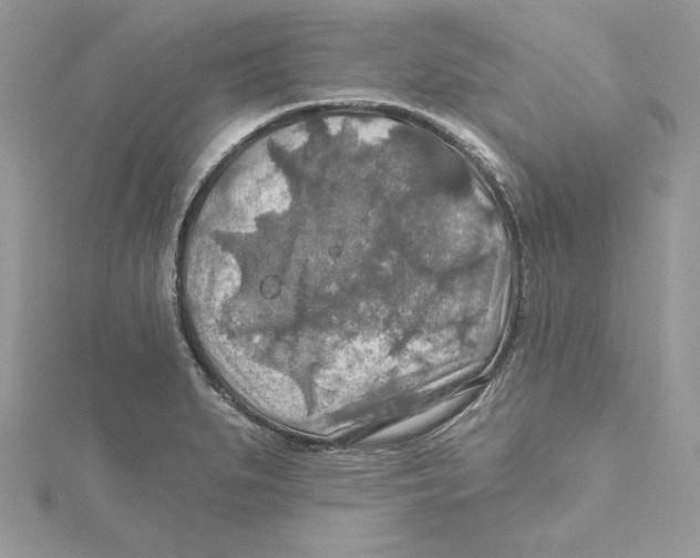 X0000114651279200911171043