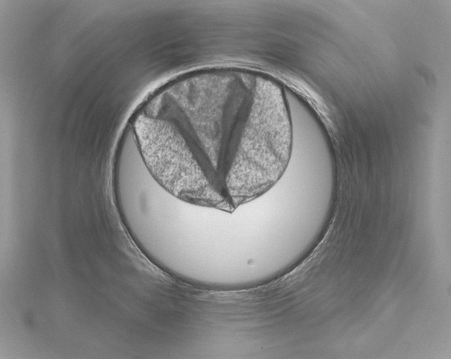 X0000114651280200911171043