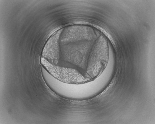 X0000114651281200911171043