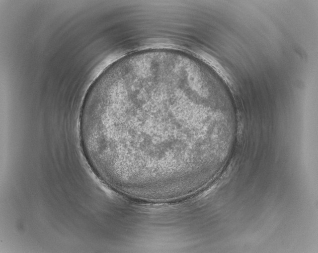 X0000114651282200911171043