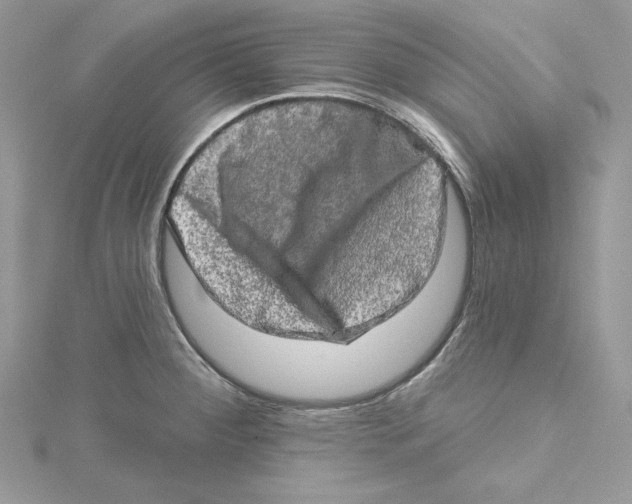 X0000114651284200911171043