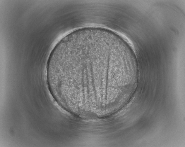 X0000114651287200911171043