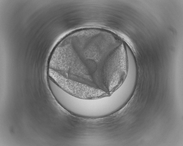 X0000114651288200911171043