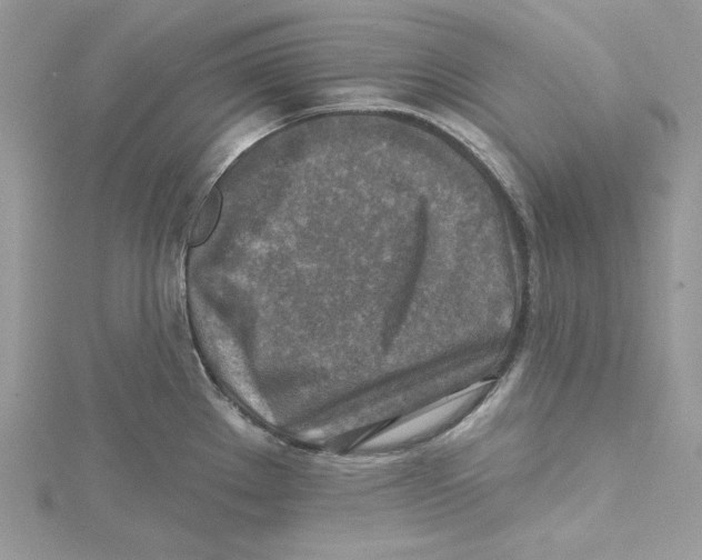 X0000114651289200911171043