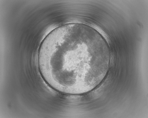 X0000114651290200911171043