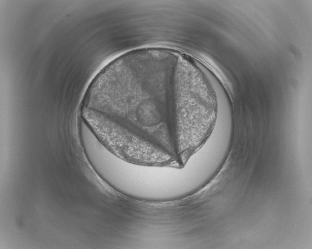 X0000114651292200911171042