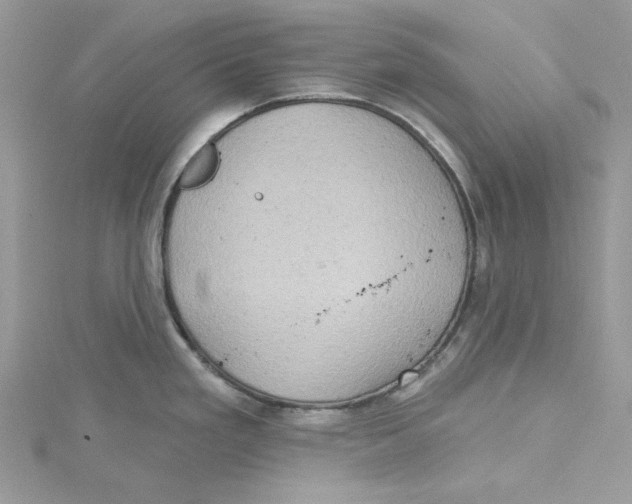 X0000114651293200911171042