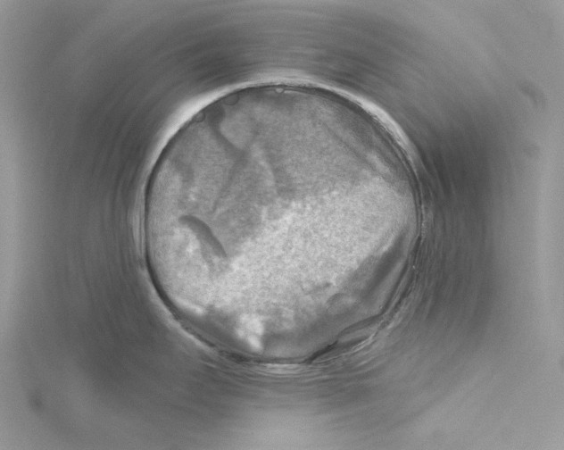 X0000114651295200911171042