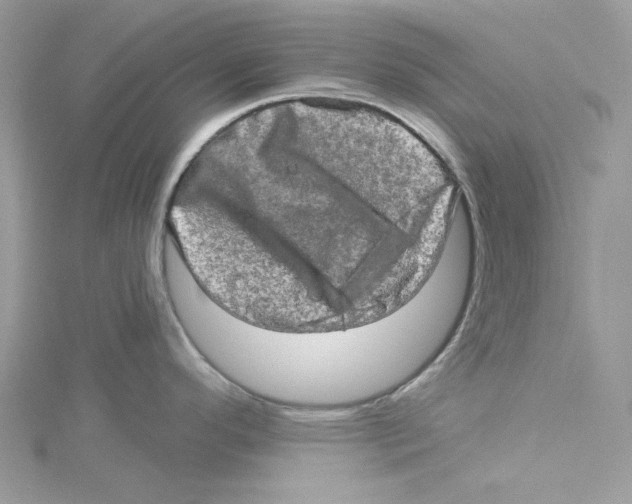 X0000114651296200911171042