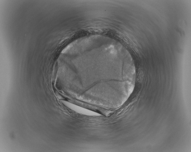 X0000114651297200911171042