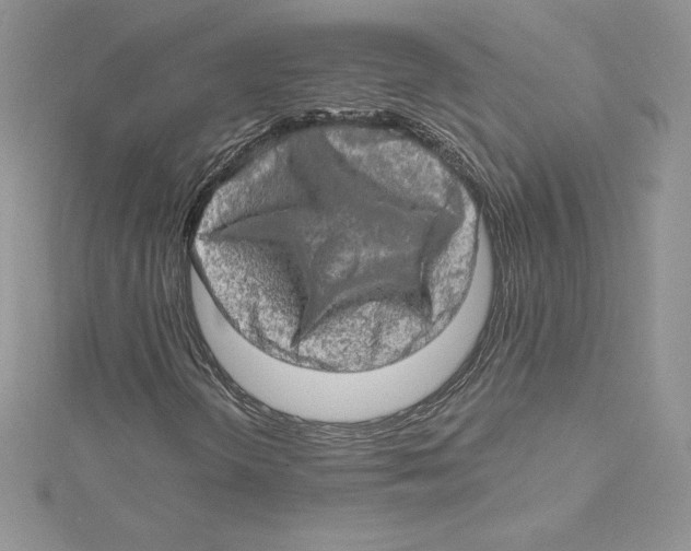 X0000114651298200911171042