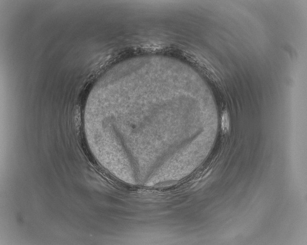 X0000114651299200911171042