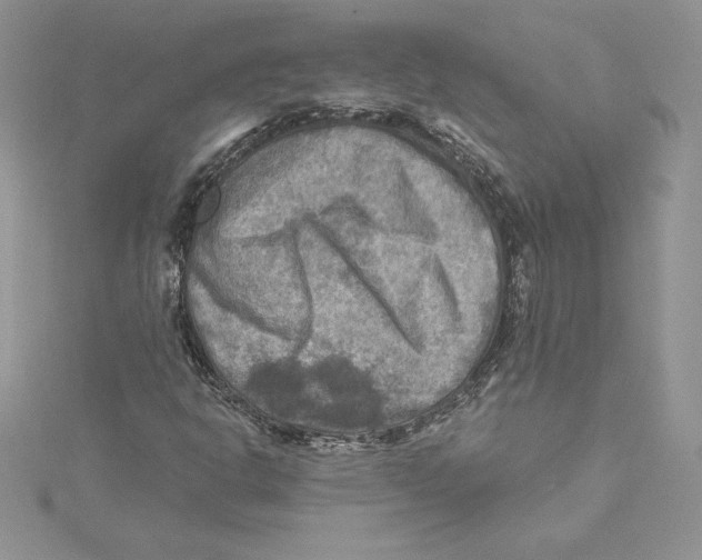 X0000114651302200911171042