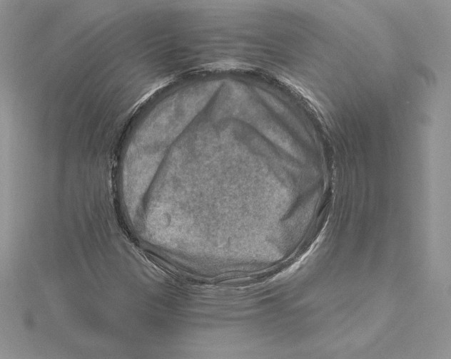 X0000114651305200911171042