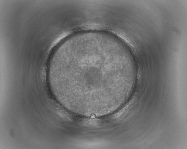 X0000114651309200911171042