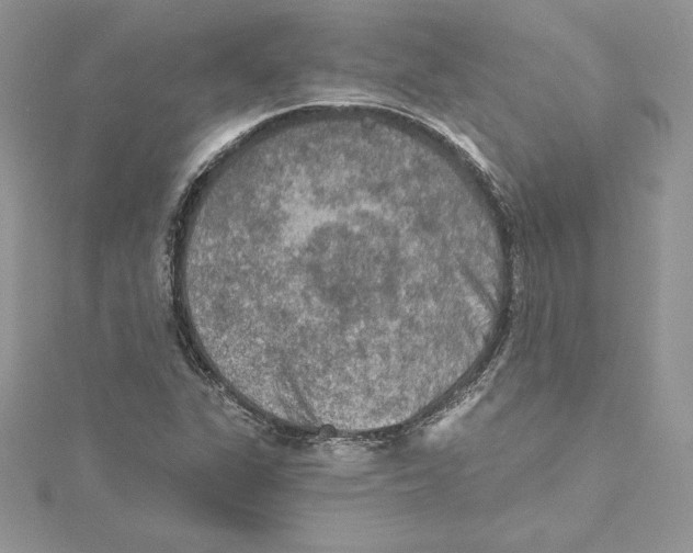 X0000114651311200911171042