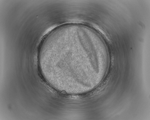 X0000114651315200911171042