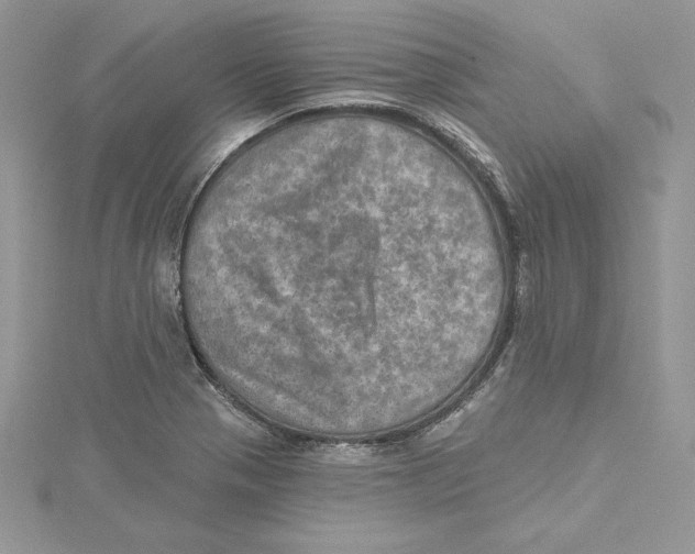 X0000114651321200911171042