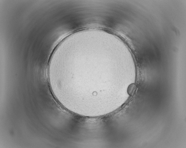 X0000114651322200911171042