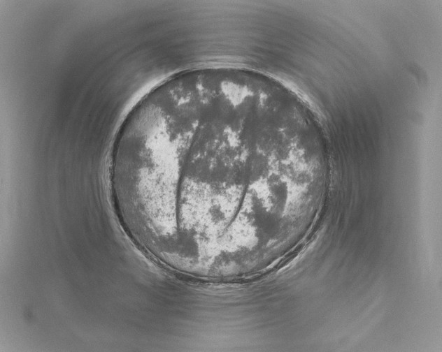 X0000114651325200911171042