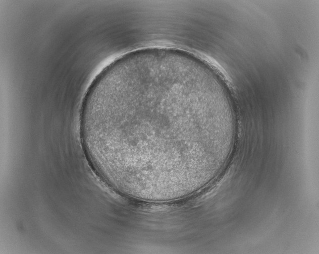 X0000114651326200911171042