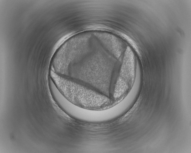 X0000114651330200911171042